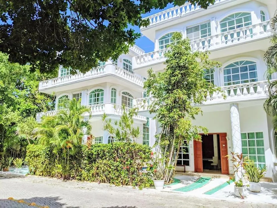 3Br Phouse Rooftop Terrace With Plunge Pool And Ocean View Walk To Beach 5Th Ave And Cozumel Ferry Playa del Carmen